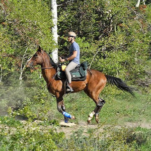 Meet your Posher, Richard